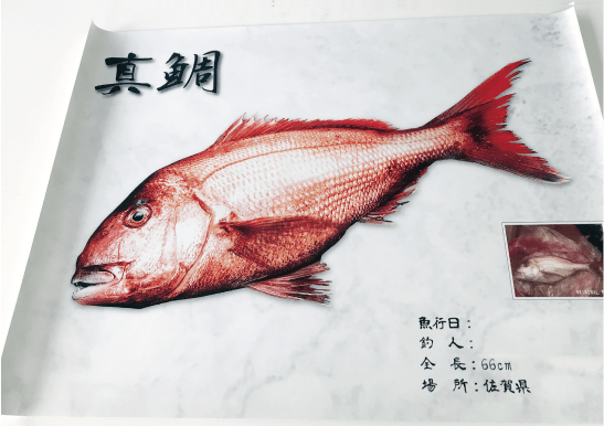 デジタル魚拓製作 – AQUA EMBLEMS – デジタル魚拓