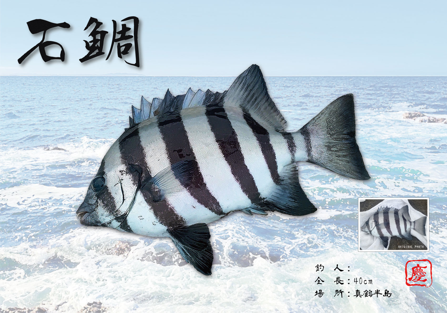 デジタル魚拓-石鯛