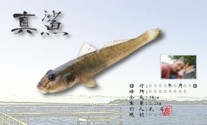 魚種、サイズなどにとらわれず、素敵な想い出をデジタル魚拓に！