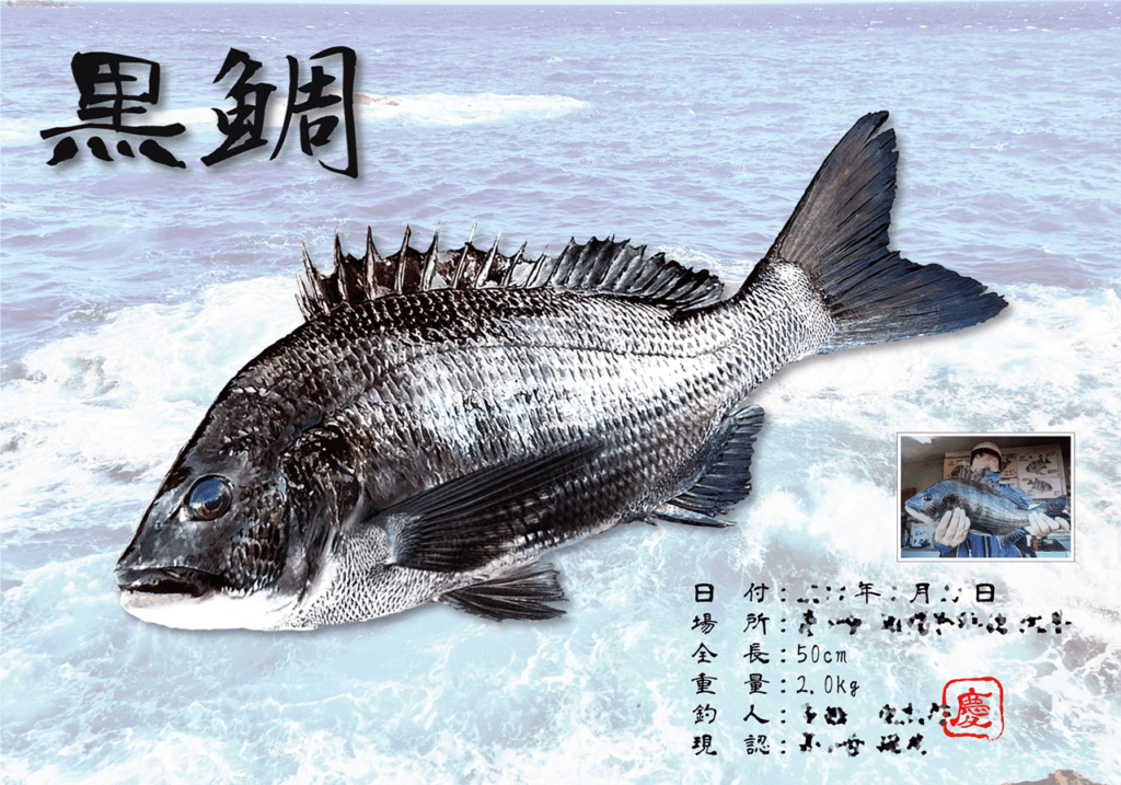 デジタル魚拓製作 – AQUA EMBLEMS – デジタル魚拓