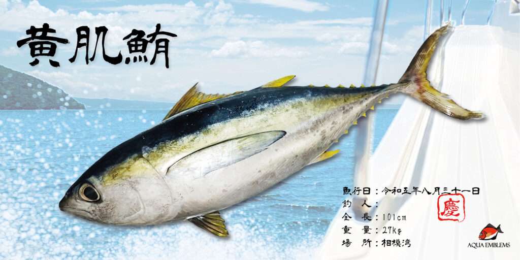 デジタル魚拓-キハダマグロ
