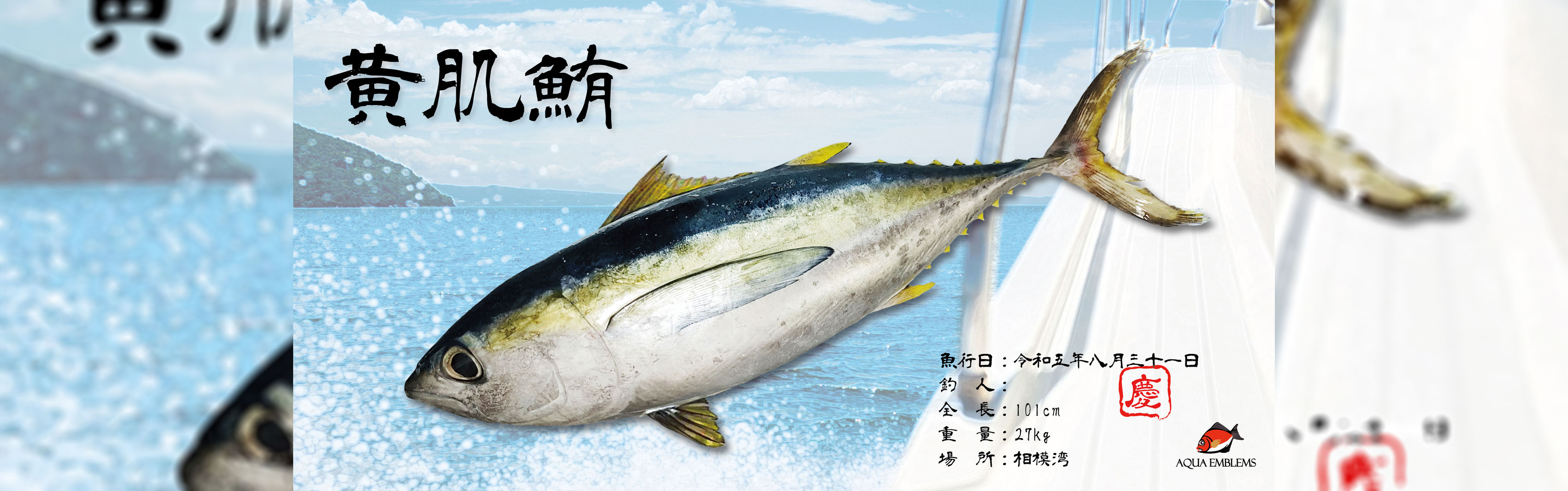 デジタル魚拓-キハダマグロ